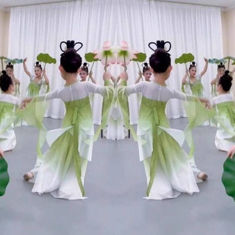 Gradient gauze practice service performance suit Jiangnan Caifu Lotus Classical Dance Performance Services Ancient Chinese Style Dance Female Women
