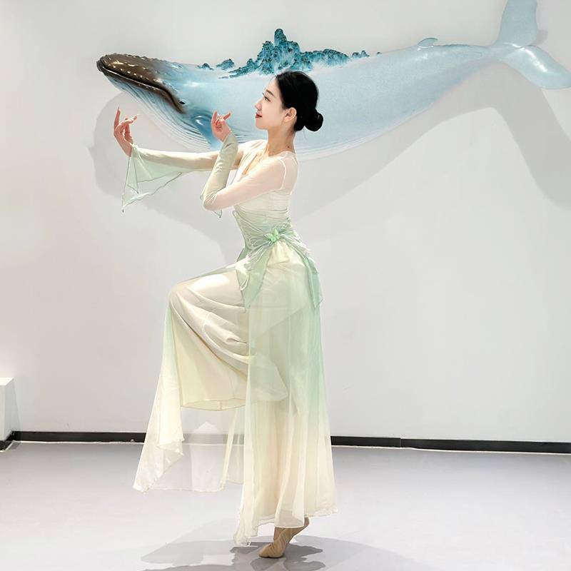 Classical Dance Performance Services Female Rhyme Butterfly Dance Clothing Clothing Gradient Gatey Sweat Chinese Dance Autumn Winter Watch Set Set