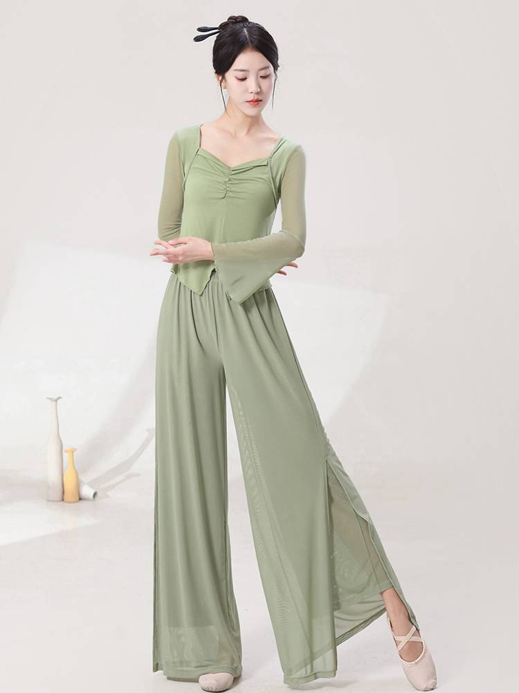 Modern dance exercise, adult net gauze dancing in shape dance clothes spring and summer, female elegant Chinese classical dance gauze jacket