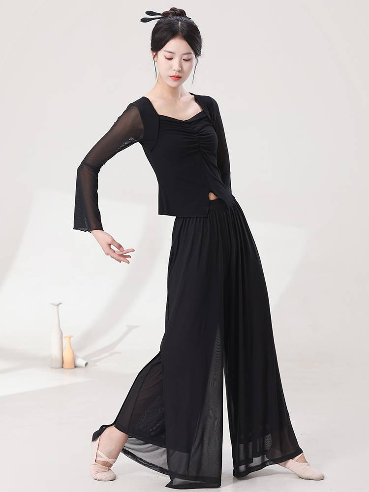 Modern dance exercise, adult net gauze dancing in shape dance clothes spring and summer, female elegant Chinese classical dance gauze jacket