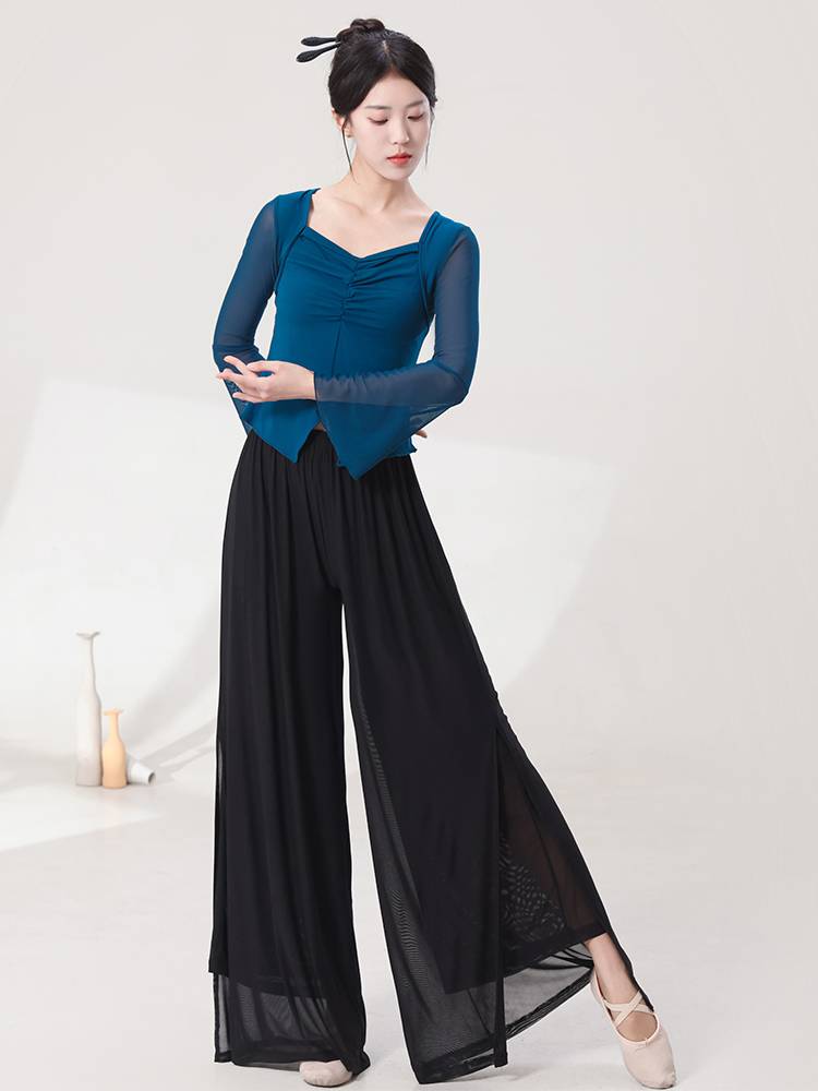 Modern dance exercise, adult net gauze dancing in shape dance clothes spring and summer, female elegant Chinese classical dance gauze jacket