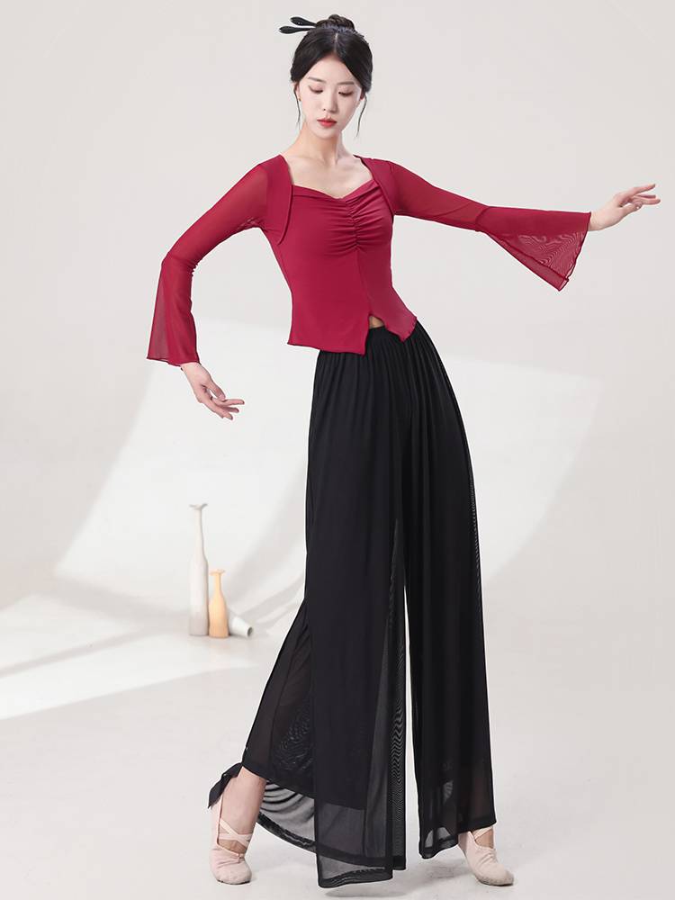 Modern dance exercise, adult net gauze dancing in shape dance clothes spring and summer, female elegant Chinese classical dance gauze jacket