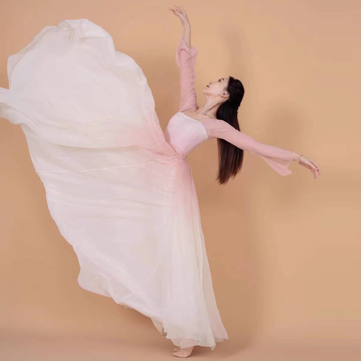 Lu Xing's same rose classical dance performance service female big skirts, elegant Chinese dance gauze skirt fan dance clothing