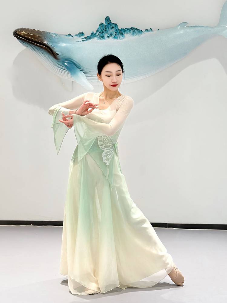 Classical Dance Performance Services Female Rhyme Butterfly Dance Clothing Clothing Gradient Gatey Sweat Chinese Dance Autumn Winter Watch Set Set