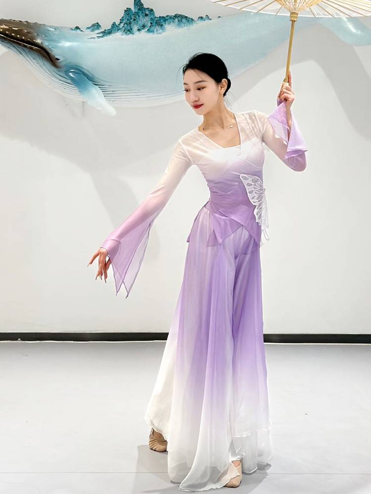 Classical Dance Performance Services Female Rhyme Butterfly Dance Clothing Clothing Gradient Gatey Sweat Chinese Dance Autumn Winter Watch Set Set
