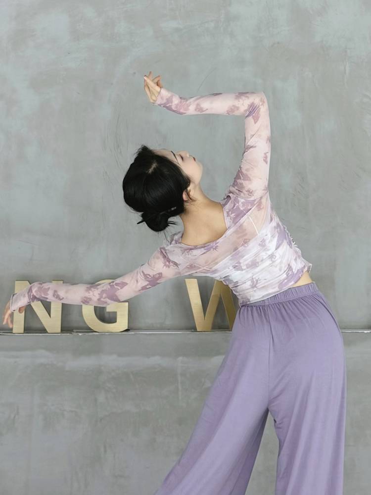 Modern dance net gauze top 2024 new dance clothing summer ink and ink blooming butterfly gauze dress classical dance exercise