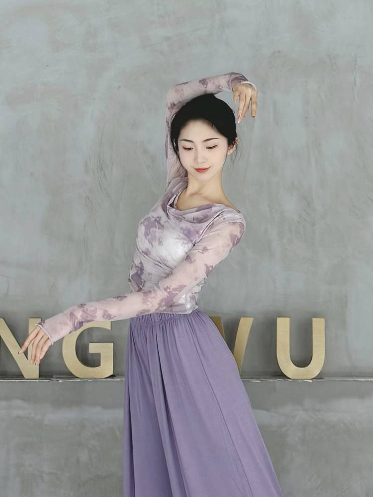 Modern dance net gauze top 2024 new dance clothing summer ink and ink blooming butterfly gauze dress classical dance exercise