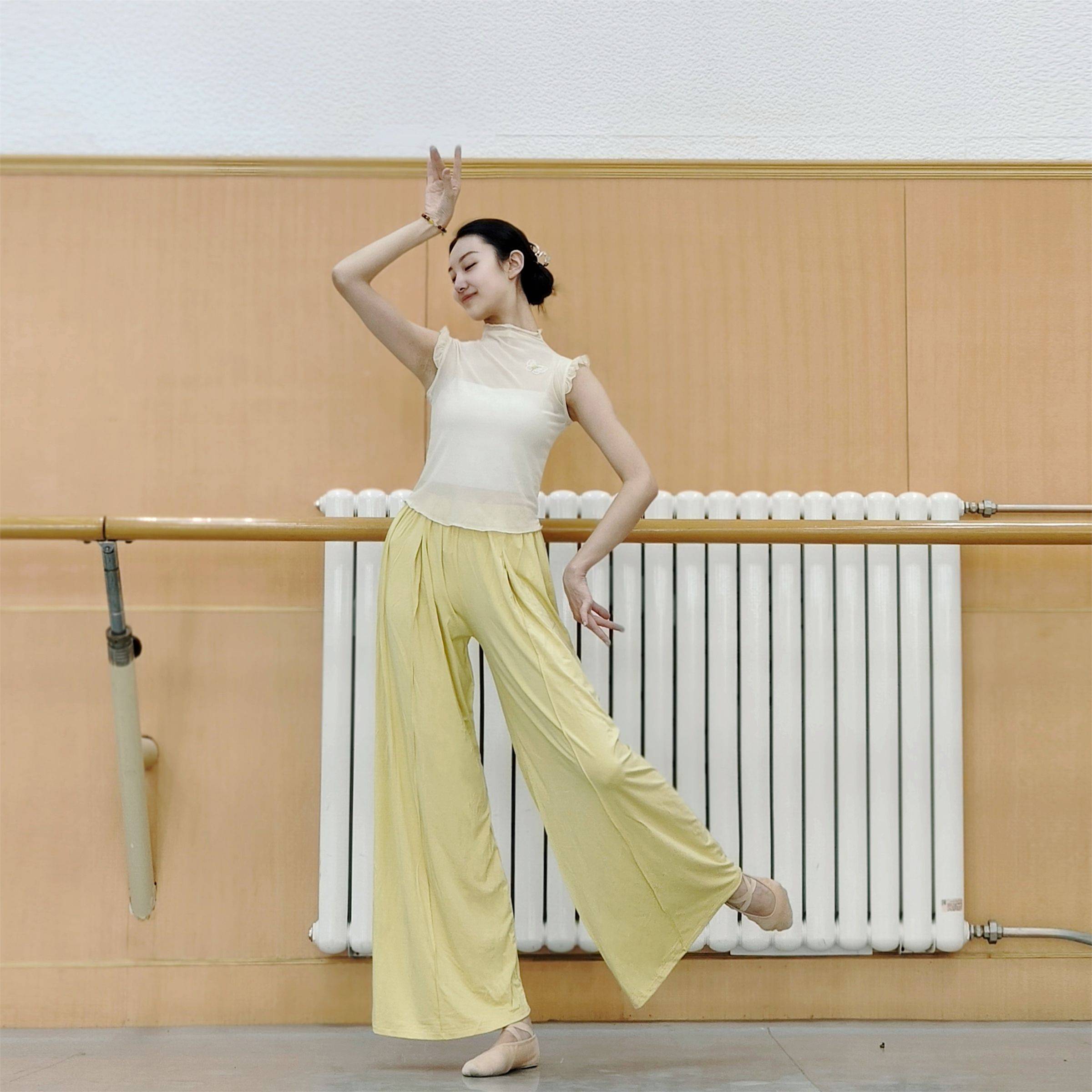 Classical dance gauze short -sleeved practice clothes slim butterfly dance clothing clothes, Chinese dance body rhyme, national style