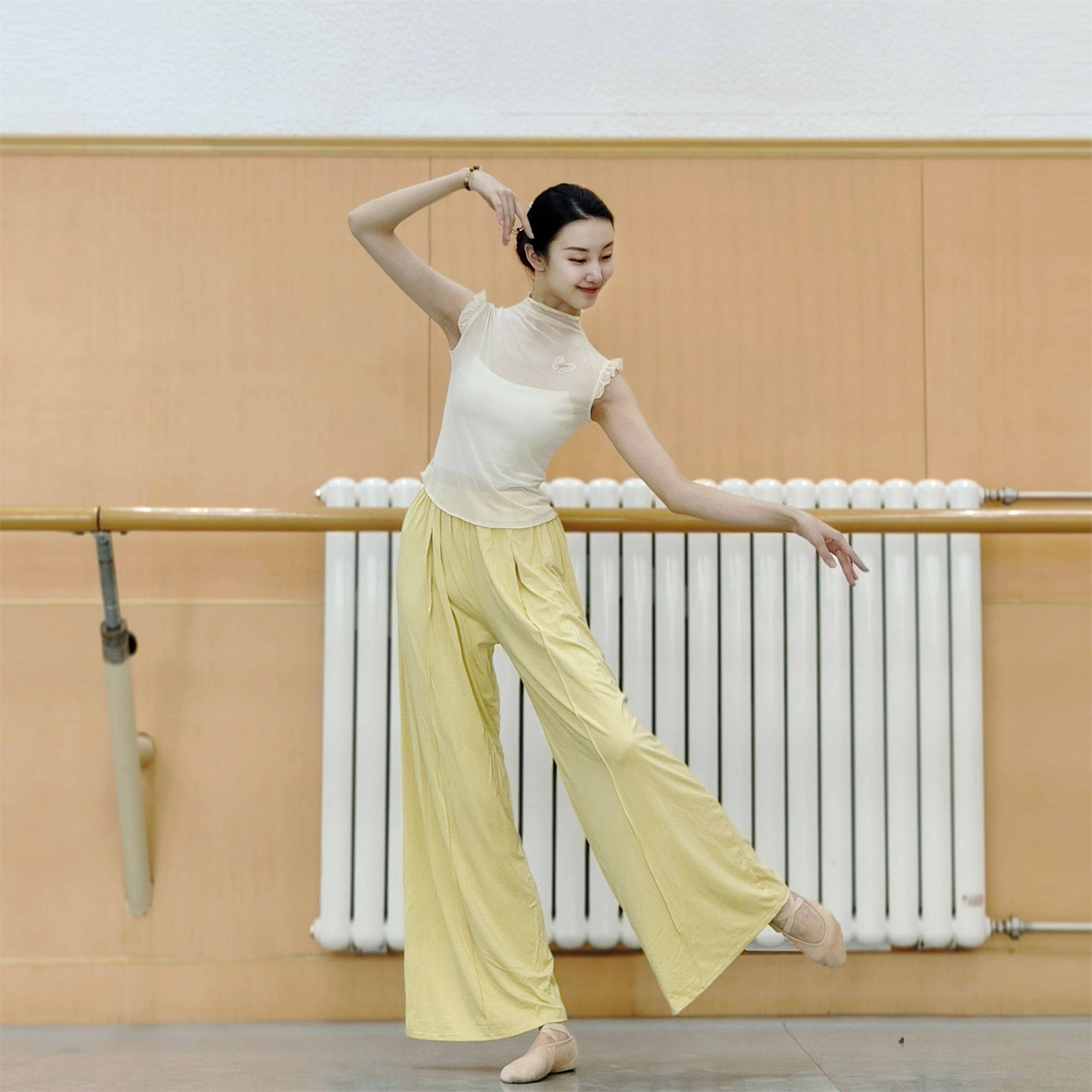 Classical dance gauze short -sleeved practice clothes slim butterfly dance clothing clothes, Chinese dance body rhyme, national style
