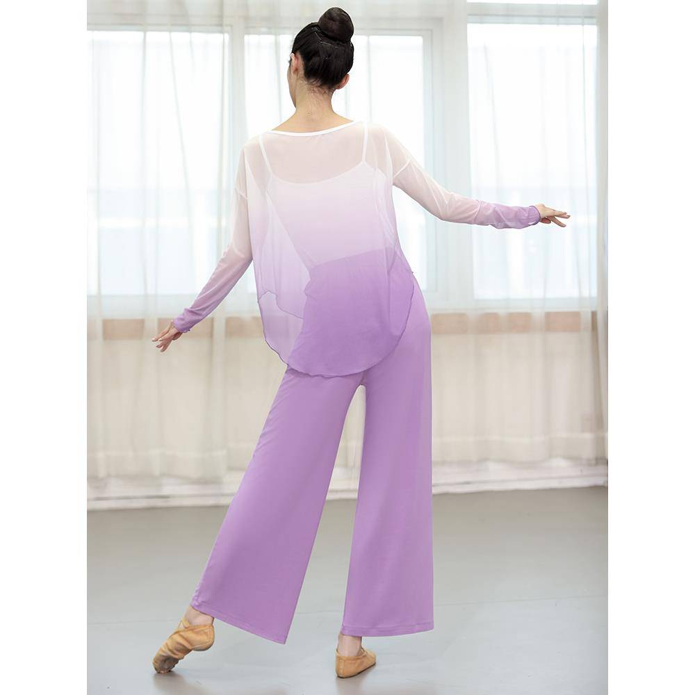 Classical Dance Gradm mesh long -sleeved Chinese dance exercise service women's top student modern dance service body rhyme dance service