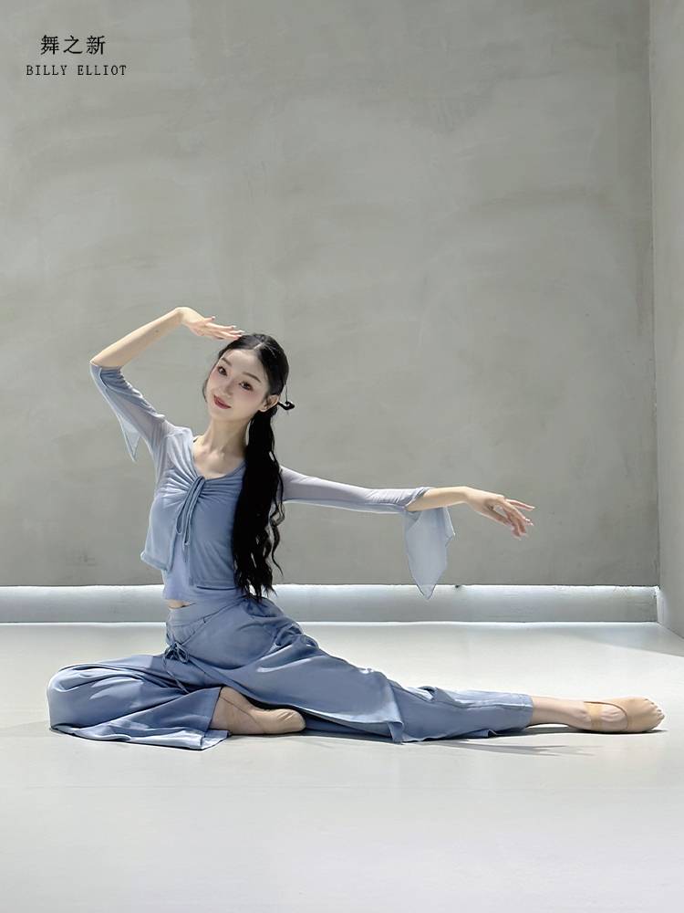 Classical dance gauze Chinese dance exercise in summer ballet body clothes fairy net gauze dance top women's new style