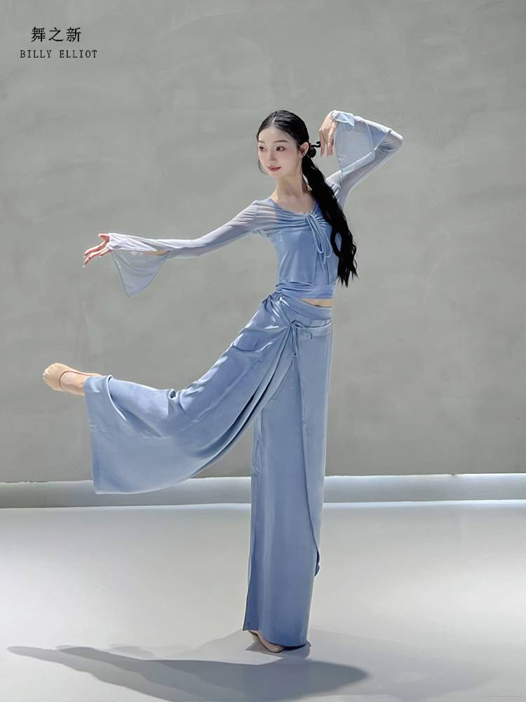 Classical dance gauze Chinese dance exercise in summer ballet body clothes fairy net gauze dance top women's new style