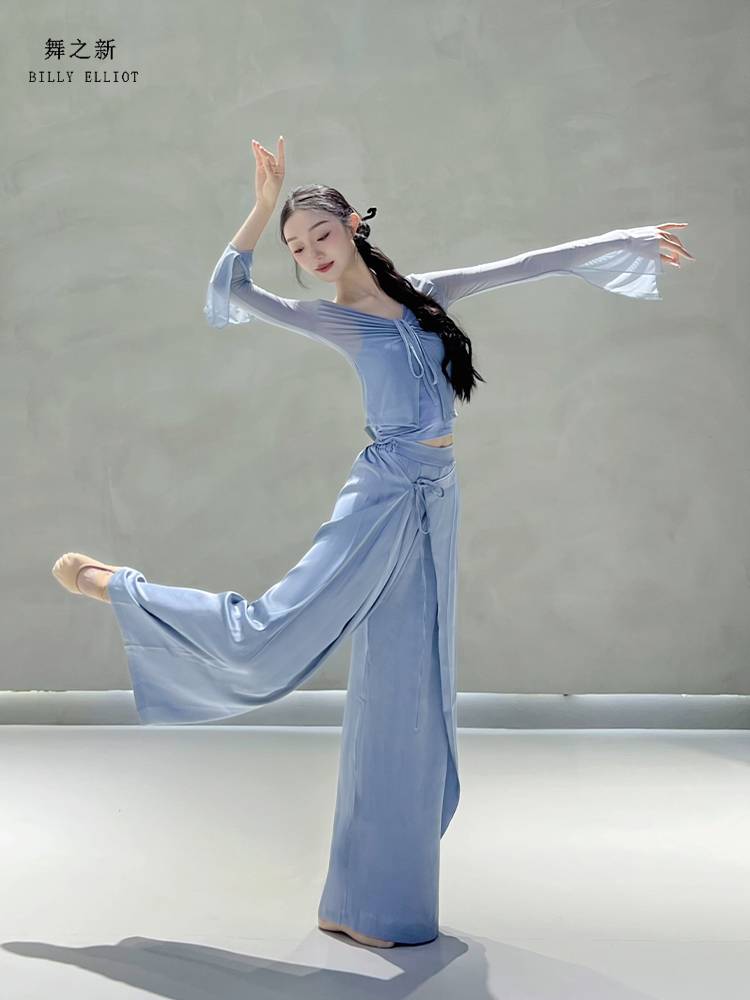 Classical dance gauze Chinese dance exercise in summer ballet body clothes fairy net gauze dance top women's new style