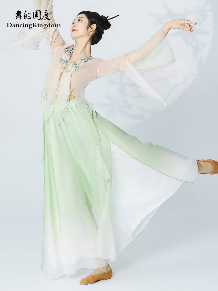 The classical white mythical dance service of the dance dance girl elegant yarn dressing exercise Chinese dance nation dance shows the clothes