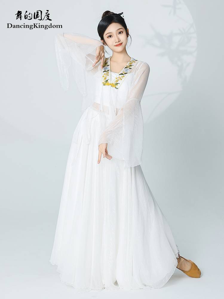 The classical white mythical dance service of the dance dance girl elegant yarn dressing exercise Chinese dance nation dance shows the clothes