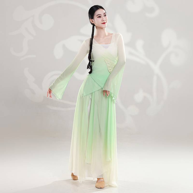 Classical dance clothing female elegant elasticity gauze Chinese dance base training skills