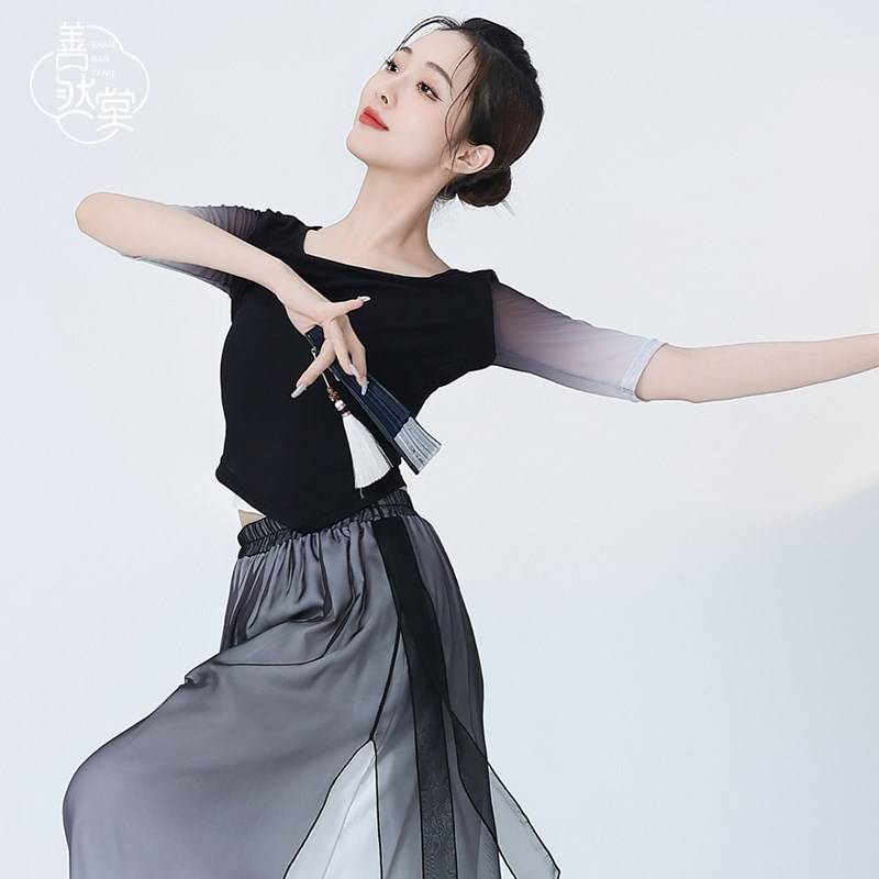 Shan Ran Hall of Modern Dance Dance Practice Service Spring and Summer Short Sleeve Classical Dance Foundation Slim Solutions Chinese Dance Services