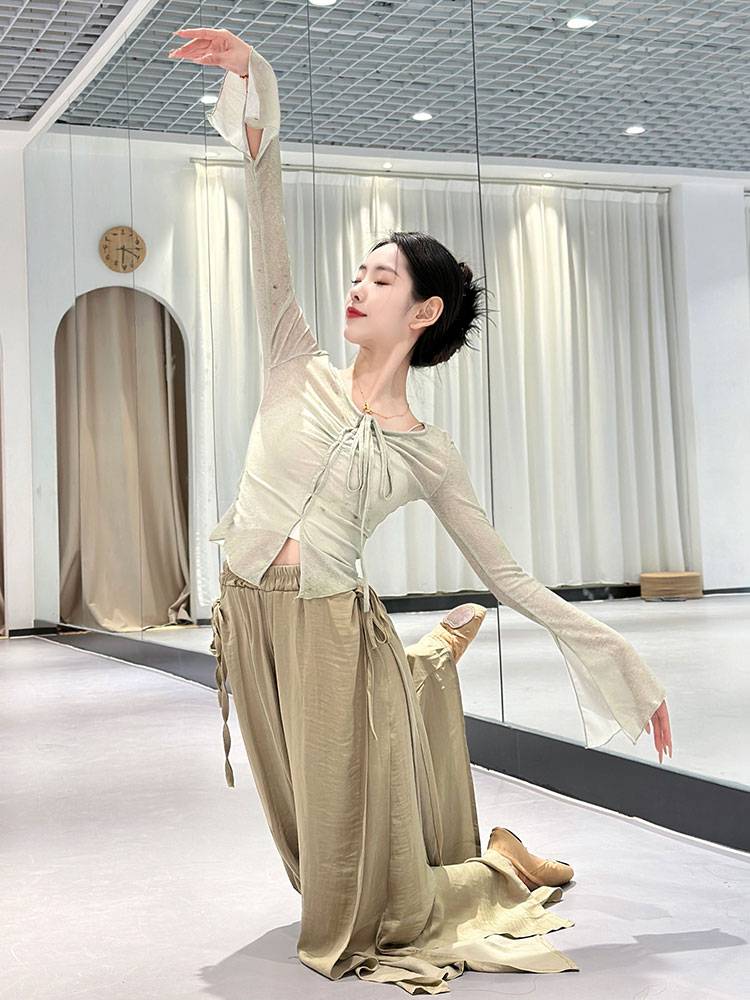 Classical dance clothing female body rhyme, elegant gauze performance, dressed meritorious service service Chinese national dance teacher training suit