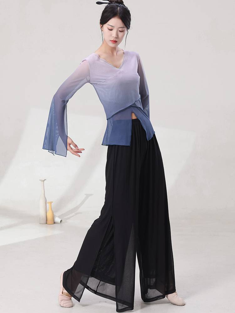 Modern dancey clothing training exercise adult body dance performance service female elegant fairy Chinese dance classical dance top