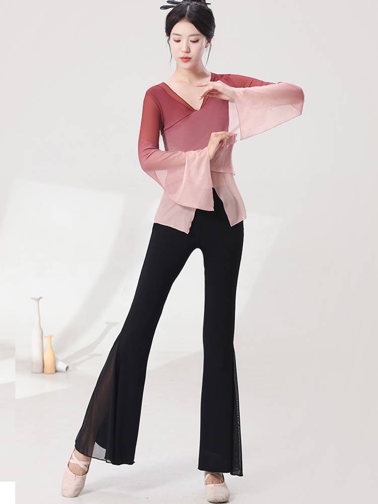 Modern dancey clothing training exercise adult body dance performance service female elegant fairy Chinese dance classical dance top