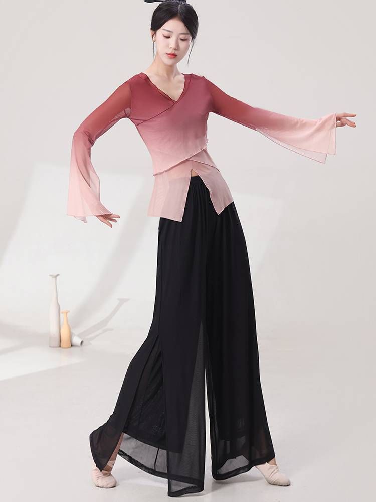 Modern dancey clothing training exercise adult body dance performance service female elegant fairy Chinese dance classical dance top