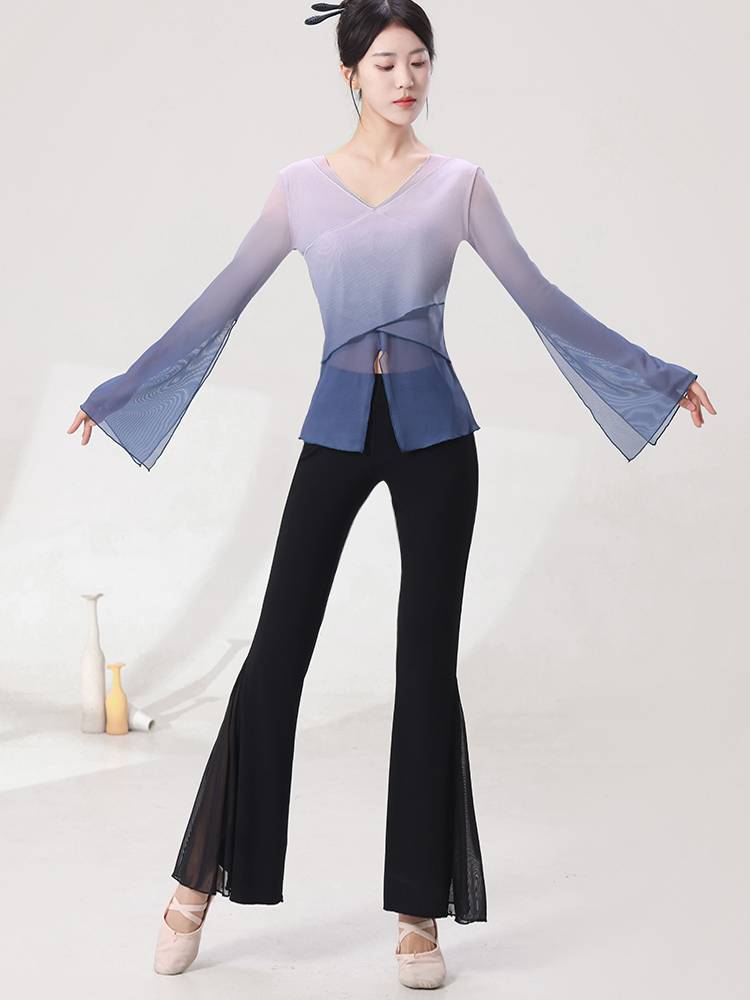 Modern dancey clothing training exercise adult body dance performance service female elegant fairy Chinese dance classical dance top