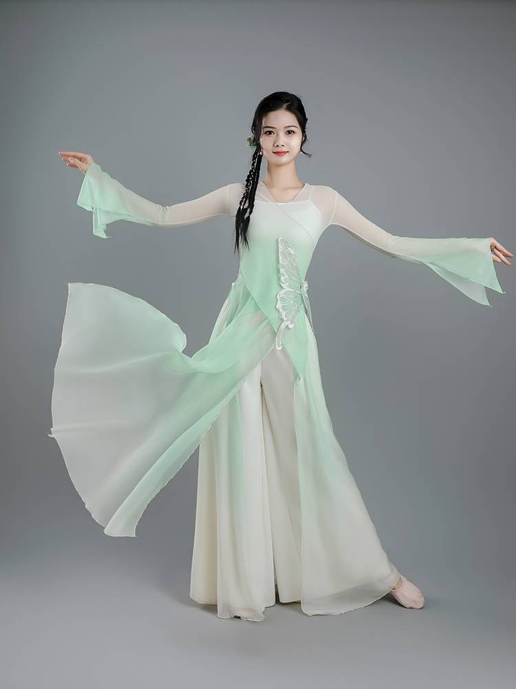 Classical Dance Gravity Butterfly Warves Dance Performance Clothing Practice Sports Server Getting Termination Wide -leg Pants Set