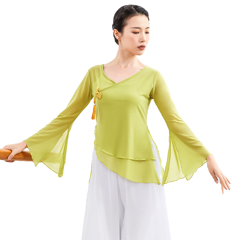 Classical dance gauze body rhyme training girl elegant performance service art test Chinese style fairy foundation dance clothes top