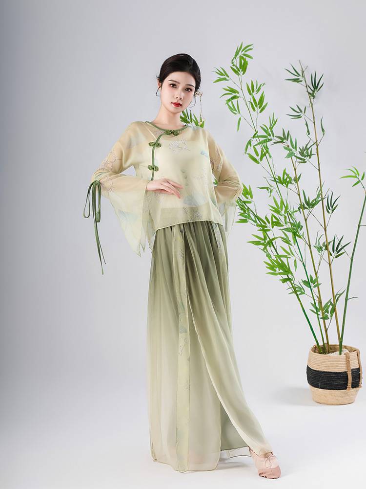 New classical dance dance clothing shirt, elegant chiffon yarn gauze female practice service Chinese dance performance service set