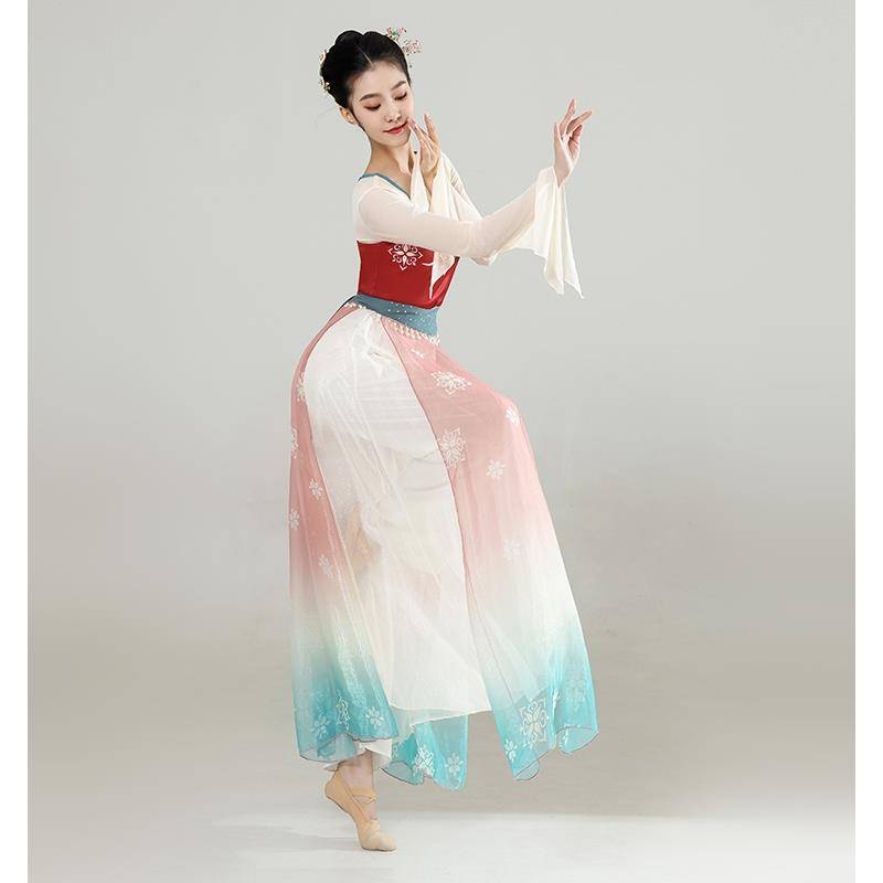 Classical dance dance clothing female elegant ancient style body rhyme training service Chinese dance performance dress dress Han Tang dance service