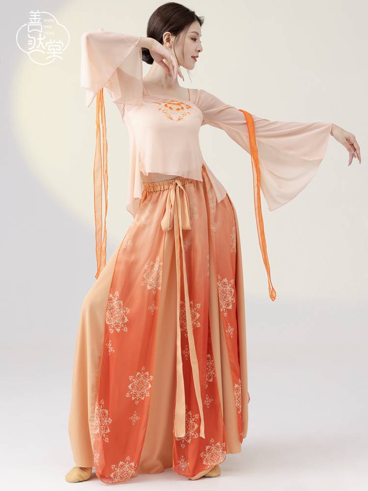 Shan Rantang's new classical dance yarn female long -sleeved body rhyme, ancient wind and immortal practice, performed dance service nation