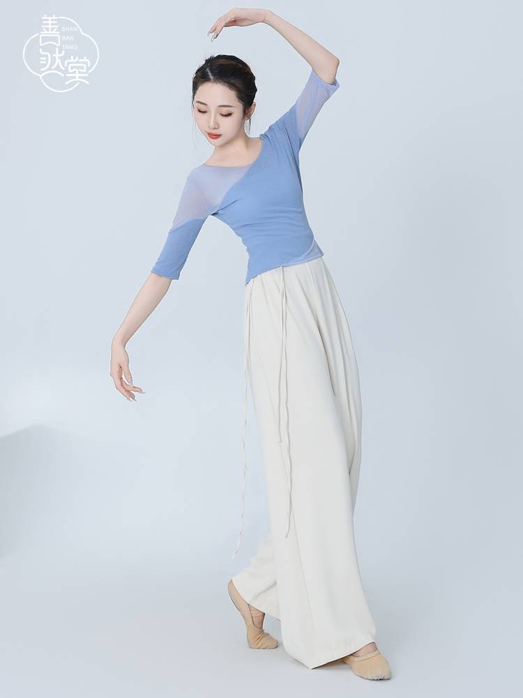 Shan Ran Hall of Modern Dance Dance Practice Service Female short -sleeved adult body training clothing Chinese classical dance clothing top