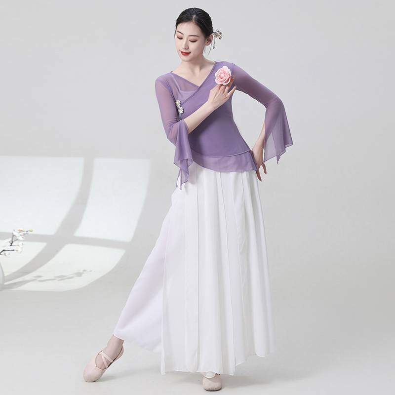 The new classical dance gauze shows the girl elegant Chinese style dance suit set fairy body rhyme training skills