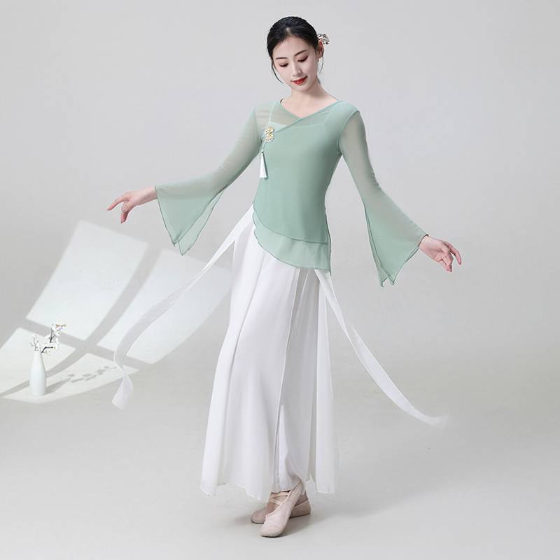 The new classical dance gauze shows the girl elegant Chinese style dance suit set fairy body rhyme training skills