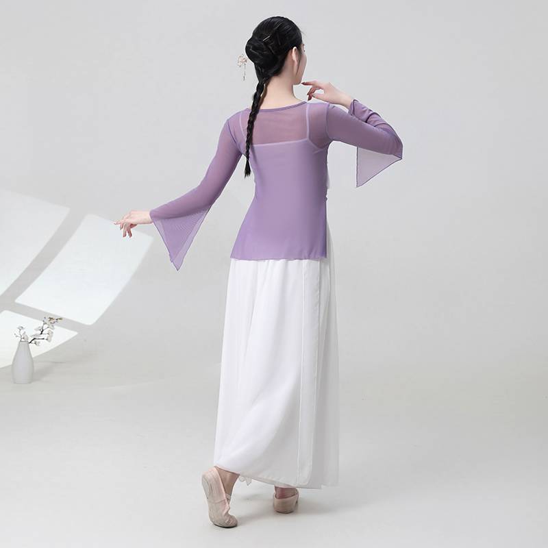 The new classical dance gauze shows the girl elegant Chinese style dance suit set fairy body rhyme training skills