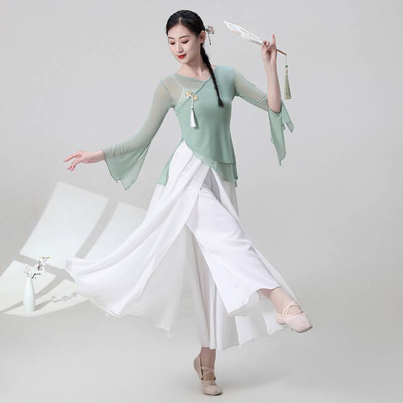 The new classical dance gauze shows the girl elegant Chinese style dance suit set fairy body rhyme training skills