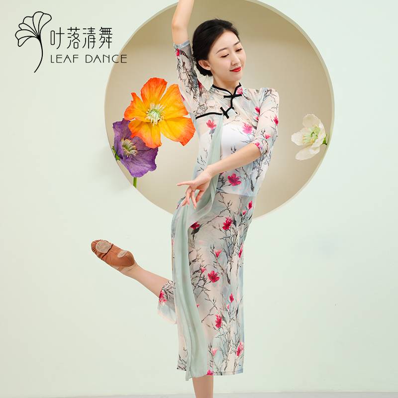 Ye Luo Qing dance 29 classical dance gauze modern dance female adult practice service Chinese dance dance service clearance collection