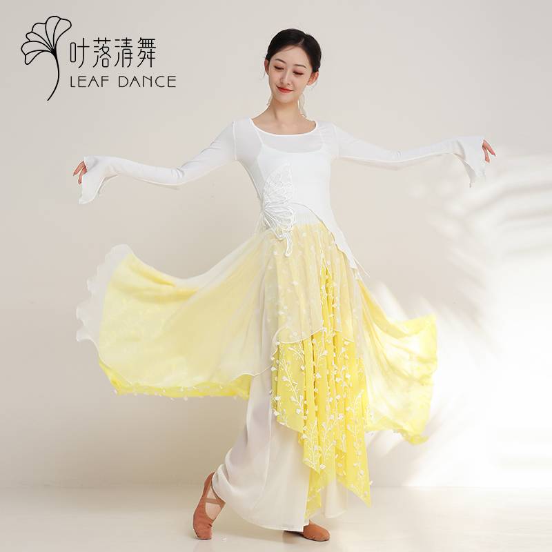 Ye Luo Qing dance 29 classical dance gauze modern dance female adult practice service Chinese dance dance service clearance collection