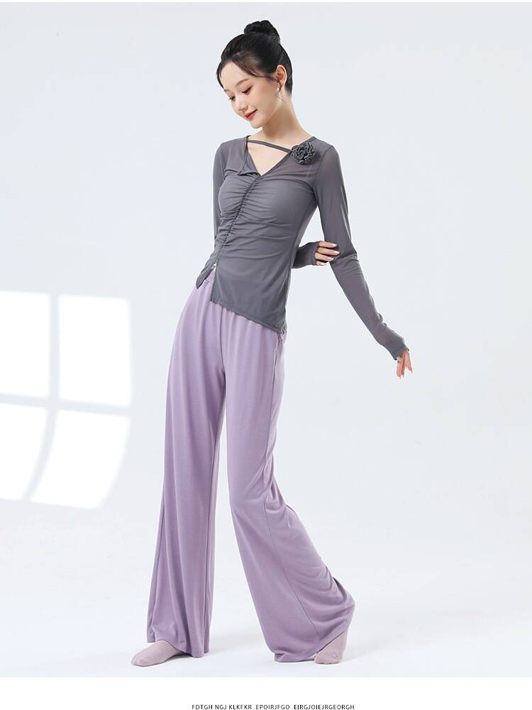 Dance clothing classical dance net gauze dancing top female summer Chinese style modern dance adult performance clothing practice service