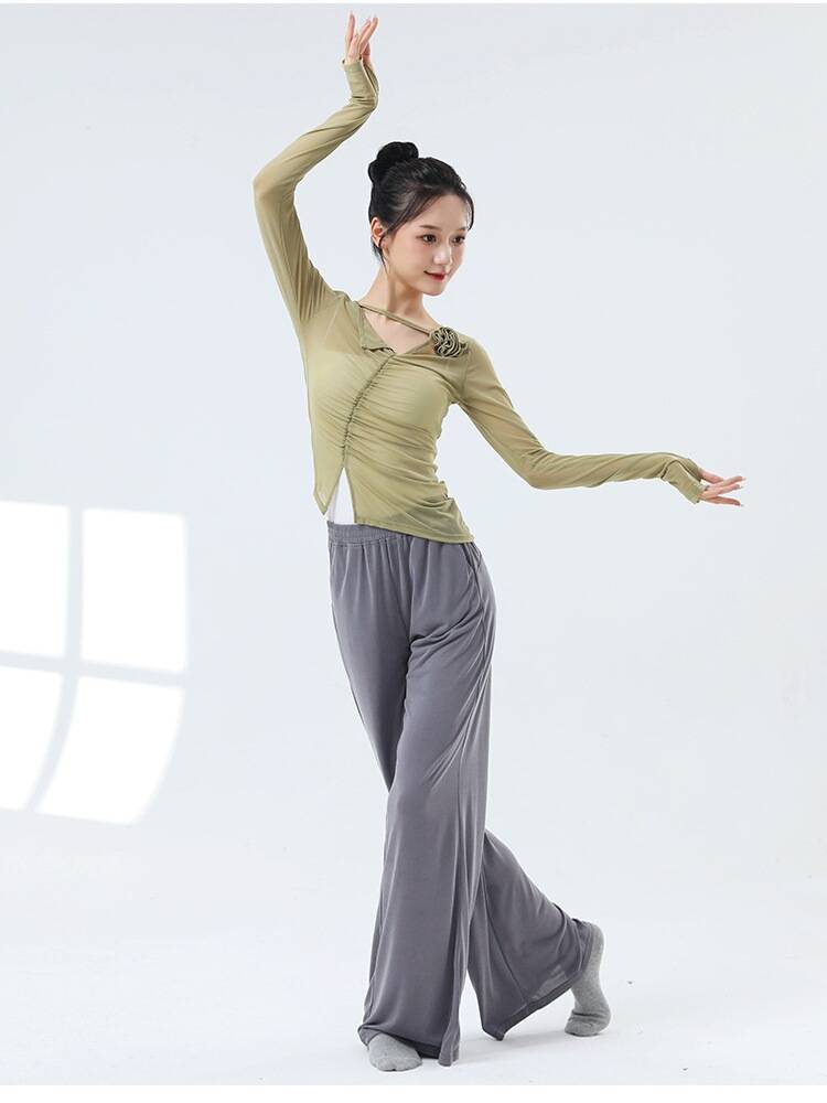 Dance clothing classical dance net gauze dancing top female summer Chinese style modern dance adult performance clothing practice service