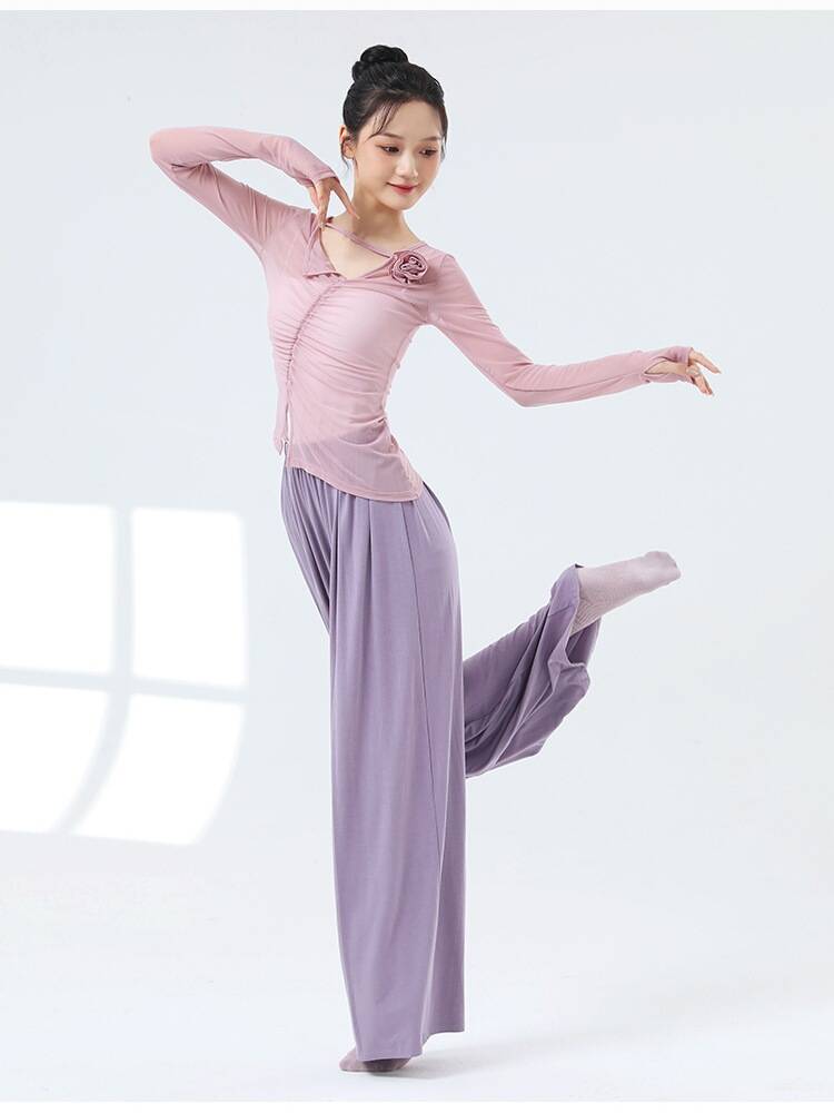 Dance clothing classical dance net gauze dancing top female summer Chinese style modern dance adult performance clothing practice service
