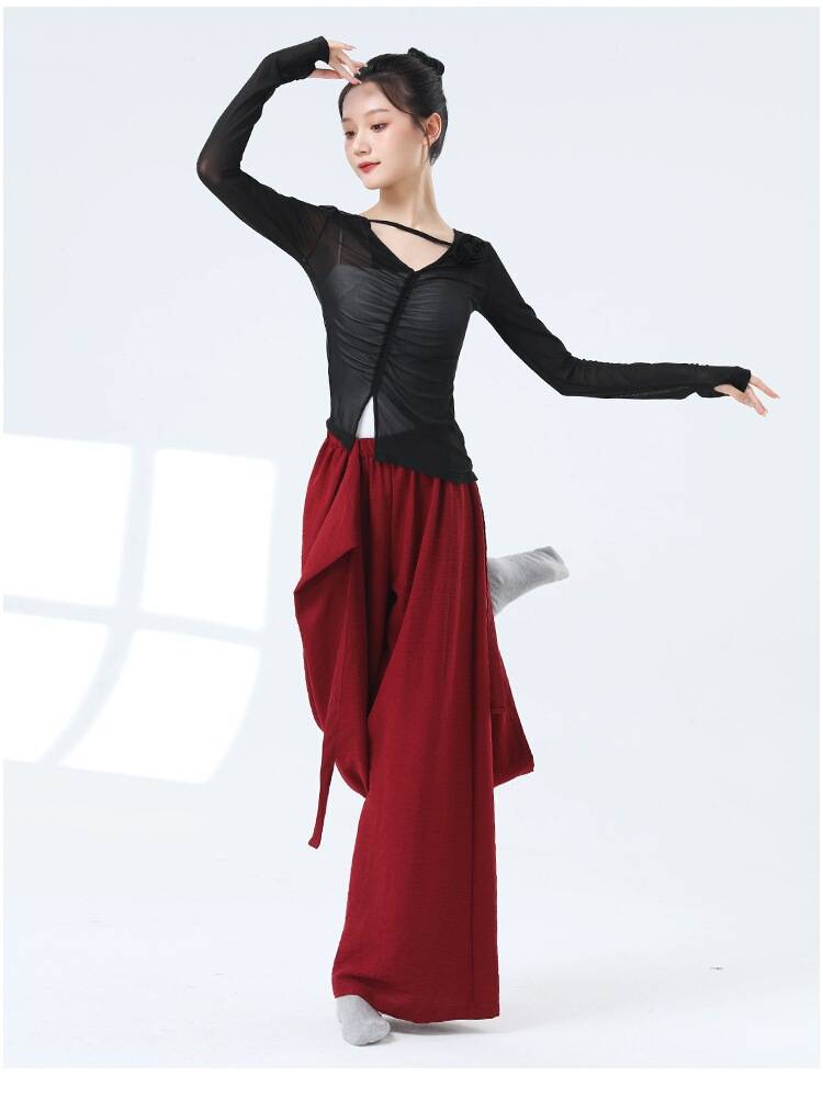 Dance clothing classical dance net gauze dancing top female summer Chinese style modern dance adult performance clothing practice service