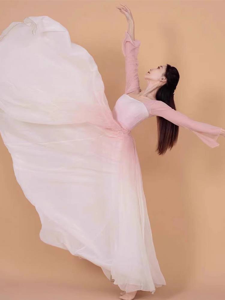Lu Xing's same rose flowers big skirt Gradient Chinese dance performances, art test clothing classical dance clothing women elegant
