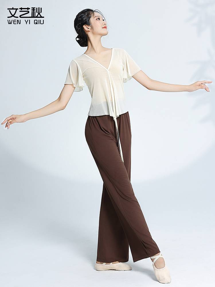 Literary autumn and summer classical dance base training body rhyme, dance dance, short gauze clearance clearance