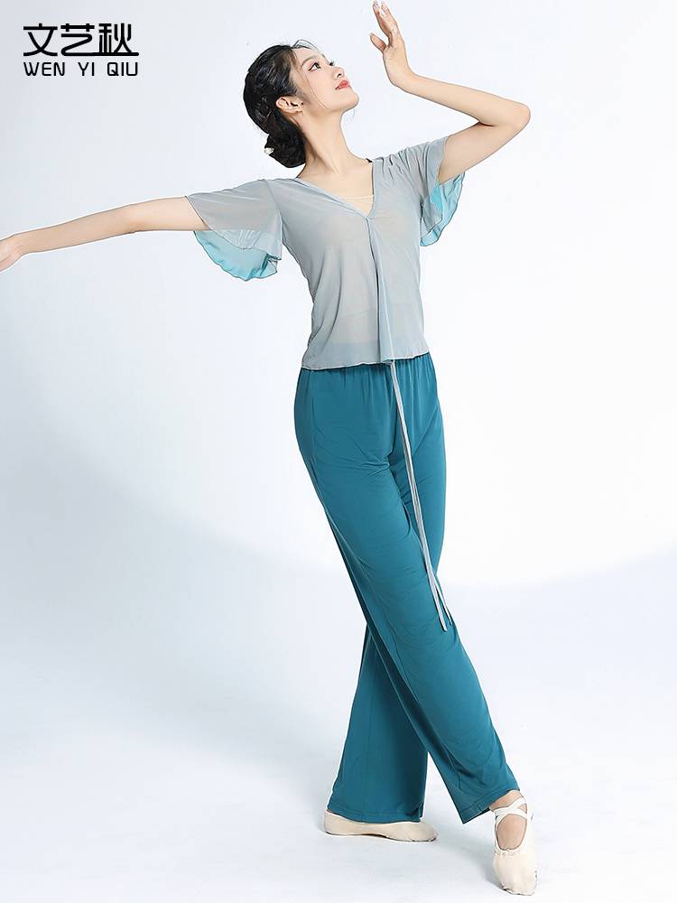 Literary autumn and summer classical dance base training body rhyme, dance dance, short gauze clearance clearance