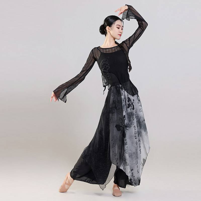 Classical Dance New Chinese Ink Painting Country Style Charm Chinese Dance Art Test Dance Performance Dance Fair Explosion