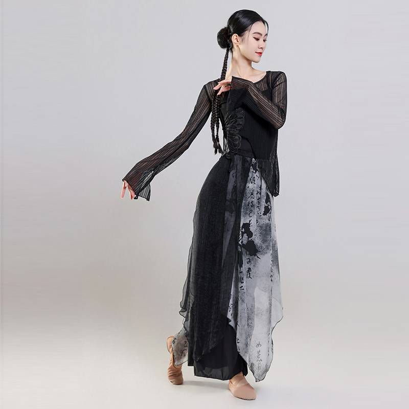 Classical Dance New Chinese Ink Painting Country Style Charm Chinese Dance Art Test Dance Performance Dance Fair Explosion