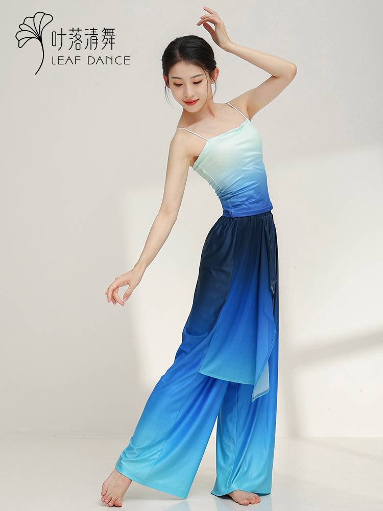 Ye Luoqing Dance Classical Dance Gradm mesh Oversize