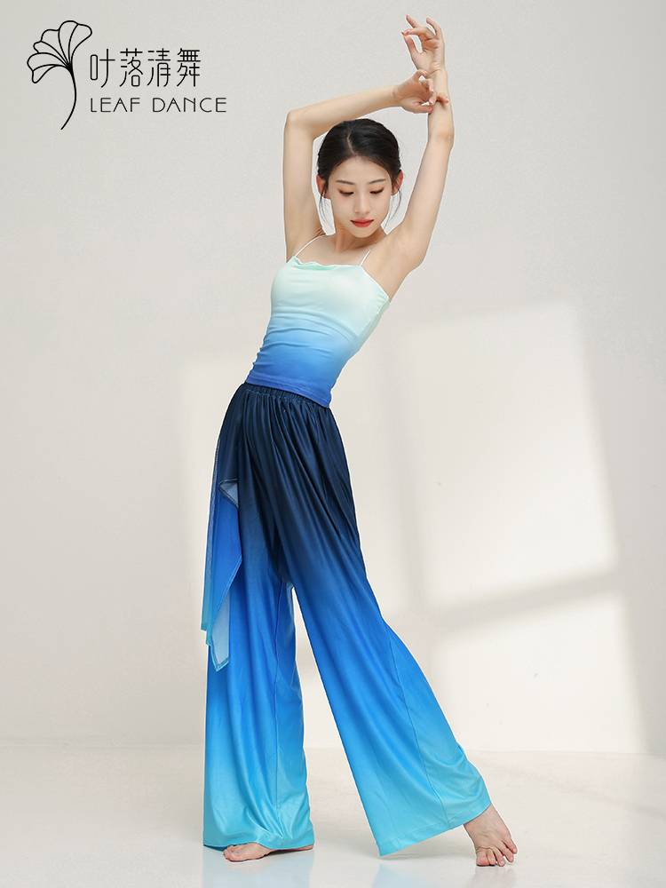 Ye Luoqing Dance Classical Dance Gradm mesh Oversize
