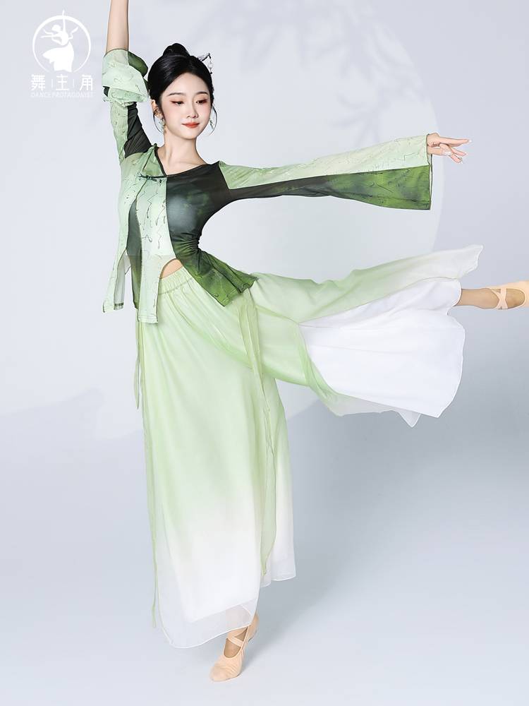 Dance protagonist Classical dance clothing female elegant practice clothing female summer adult jacket gradient color ink Chinese dance